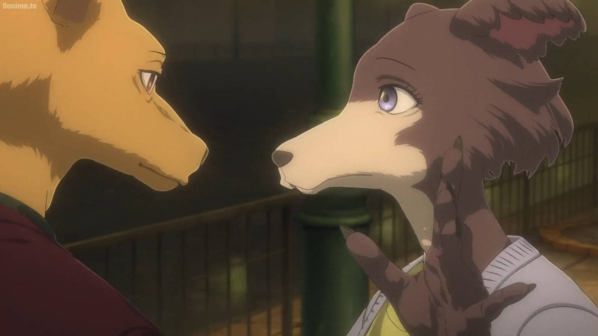 Beastars S2 E5-Juno 1 by GiuseppeDiRosso on DeviantArt