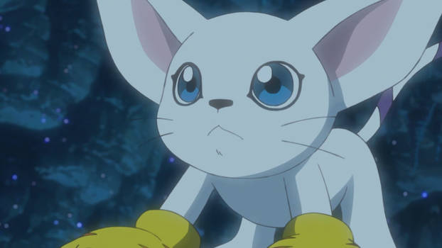 DigimonAdventure2020 E35-Gatomon 1