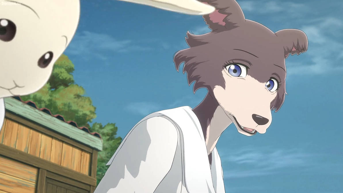 Beastars S2 E8-Juno 6 by GiuseppeDiRosso on DeviantArt