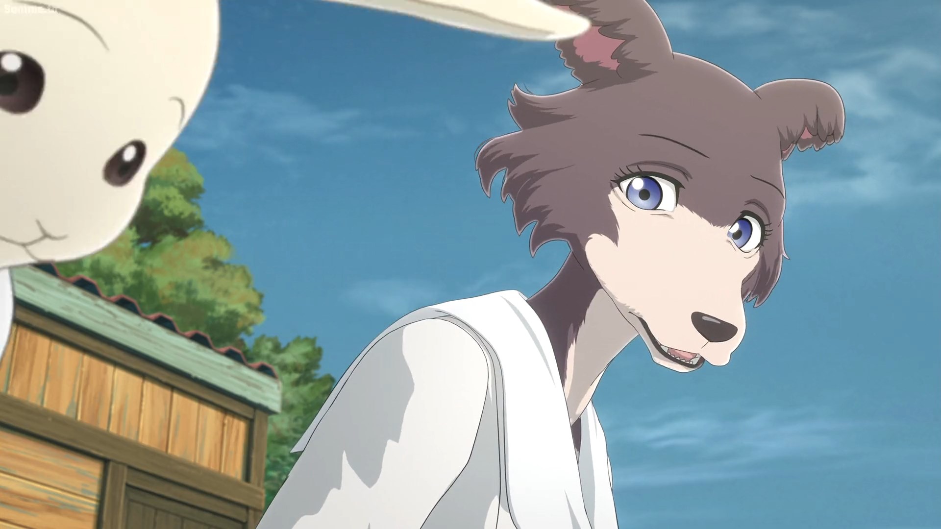Beastars S2 E8-Juno 6 by GiuseppeDiRosso on DeviantArt