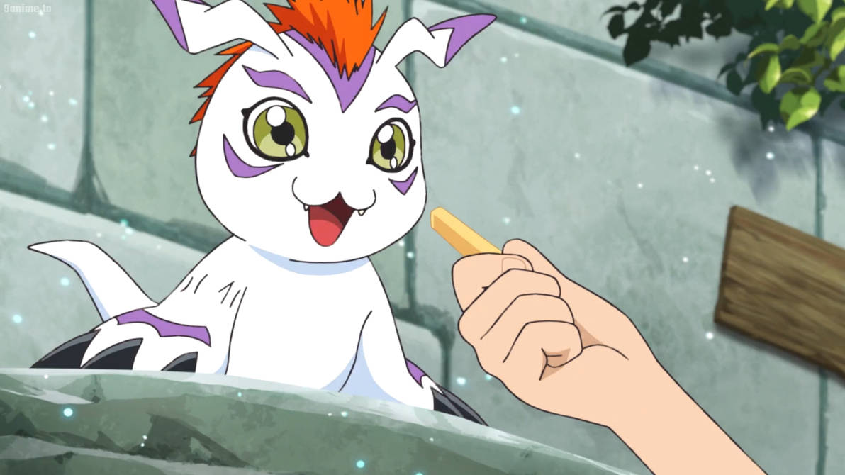 DigimonAdventure2020 E39-Gomamon 1 by GiuseppeDiRosso on DeviantArt