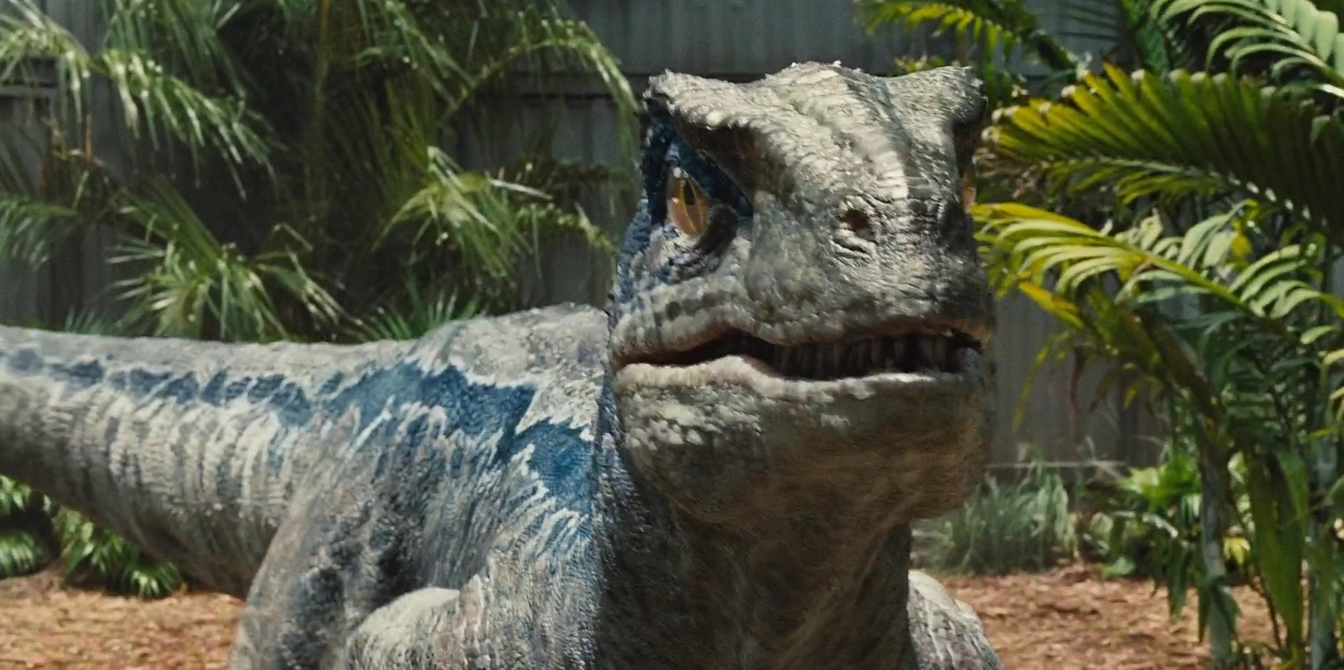 Jurassic World 2015-Blue 4 by GiuseppeDiRosso on DeviantArt