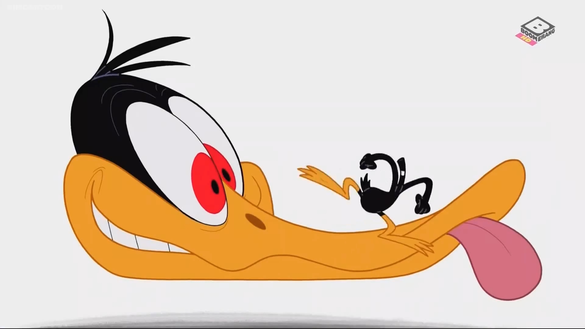 Daffy Duck Face Shot