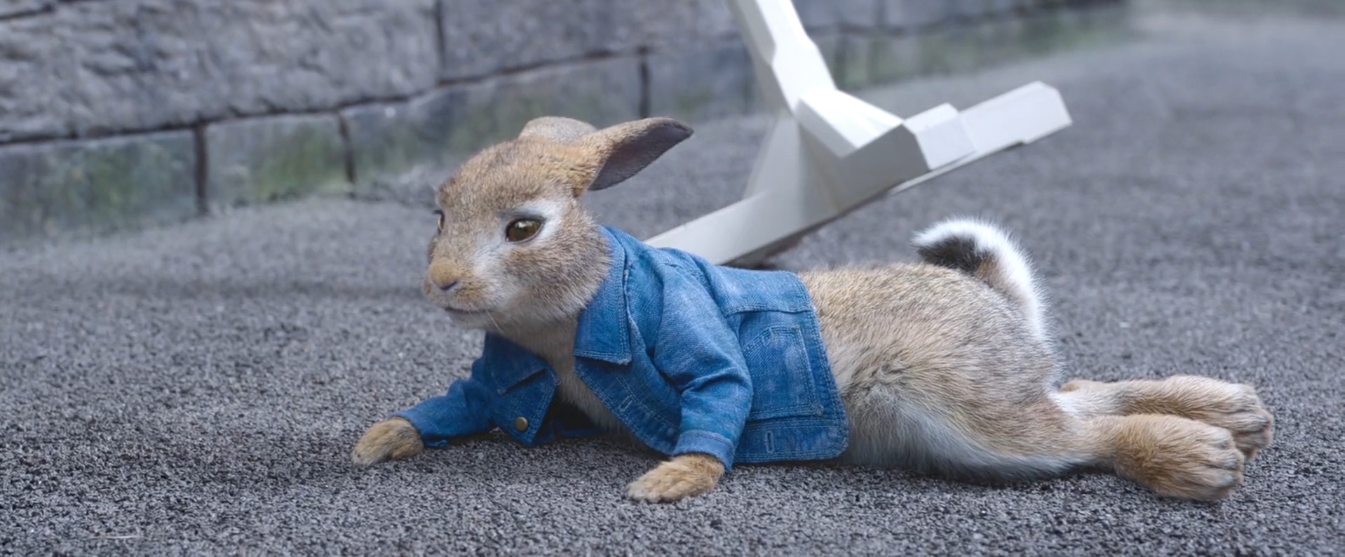 Peter Rabbit 2-Peter Rabbit by GiuseppeDiRosso on DeviantArt