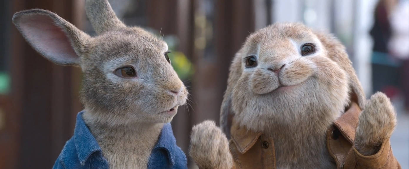 Peter Rabbit 2-00.19.28 by GiuseppeDiRosso on DeviantArt