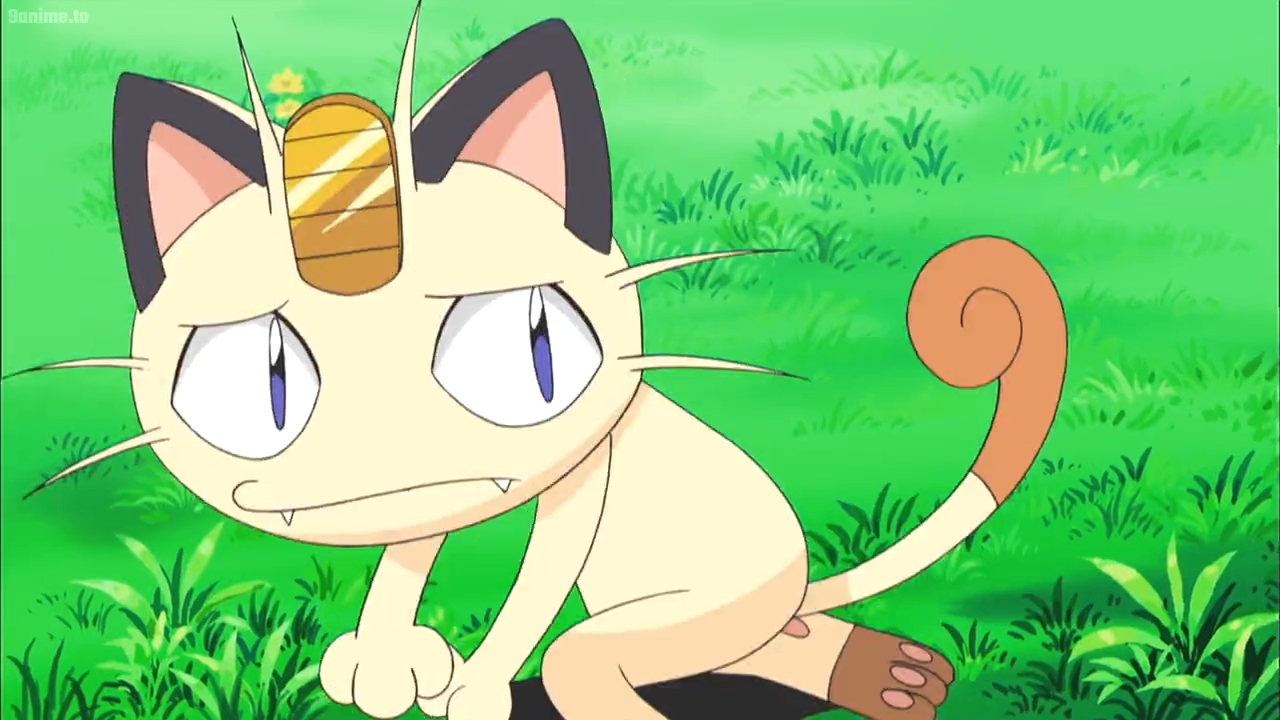 Meowth Anime 