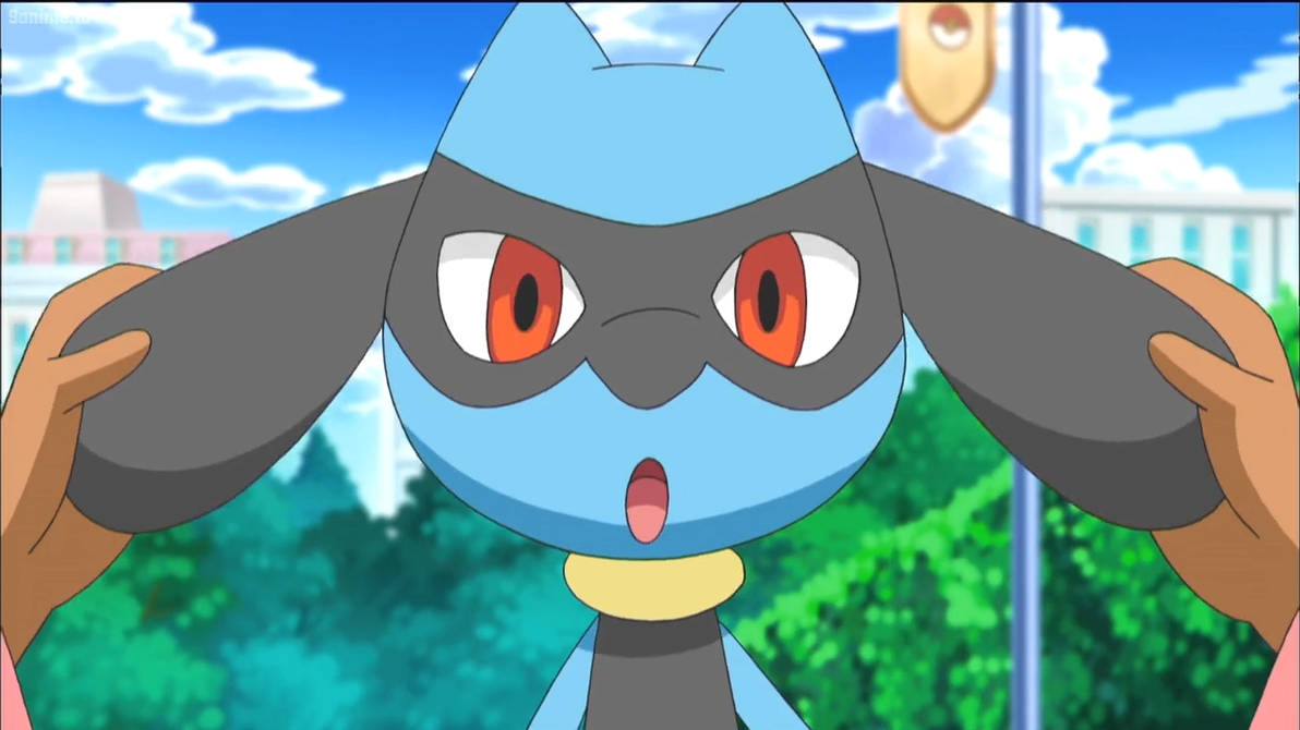 Pokemon BW E93-Riolu by GiuseppeDiRosso on DeviantArt