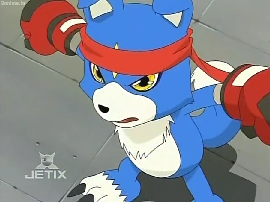 Digimon Data Squad E3-Gaomon by GiuseppeDiRosso on DeviantArt