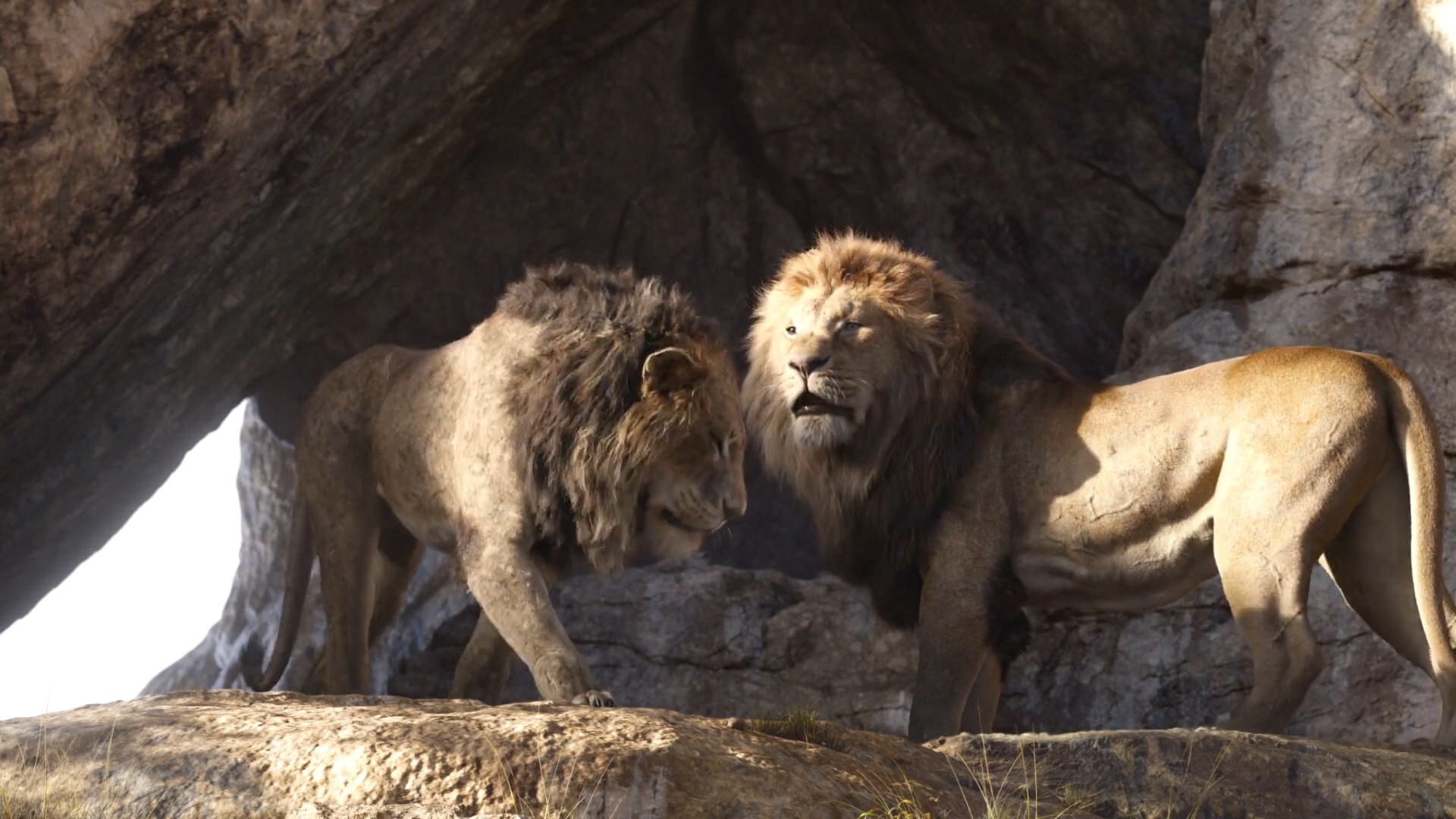 Thelionking19 Mufasa Scar By Giuseppedirosso On Deviantart Thelionking19 Mufasa Scar By Giuseppedirosso On Deviantart