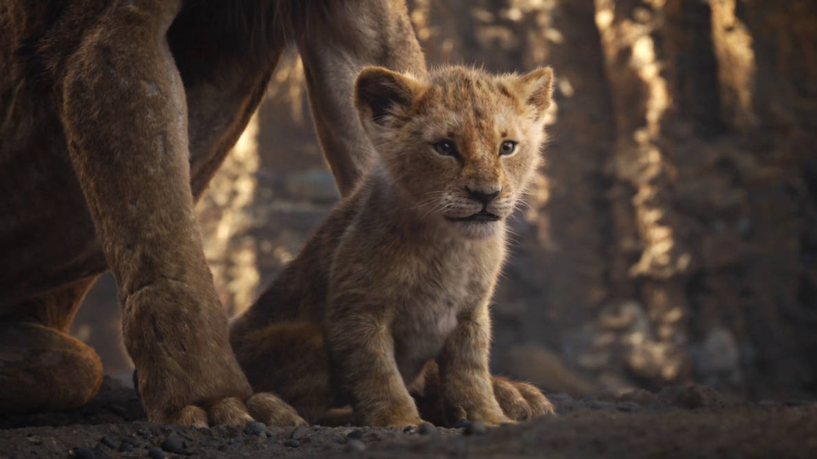 TheLionKing2019-Simba 1 by GiuseppeDiRosso on DeviantArt