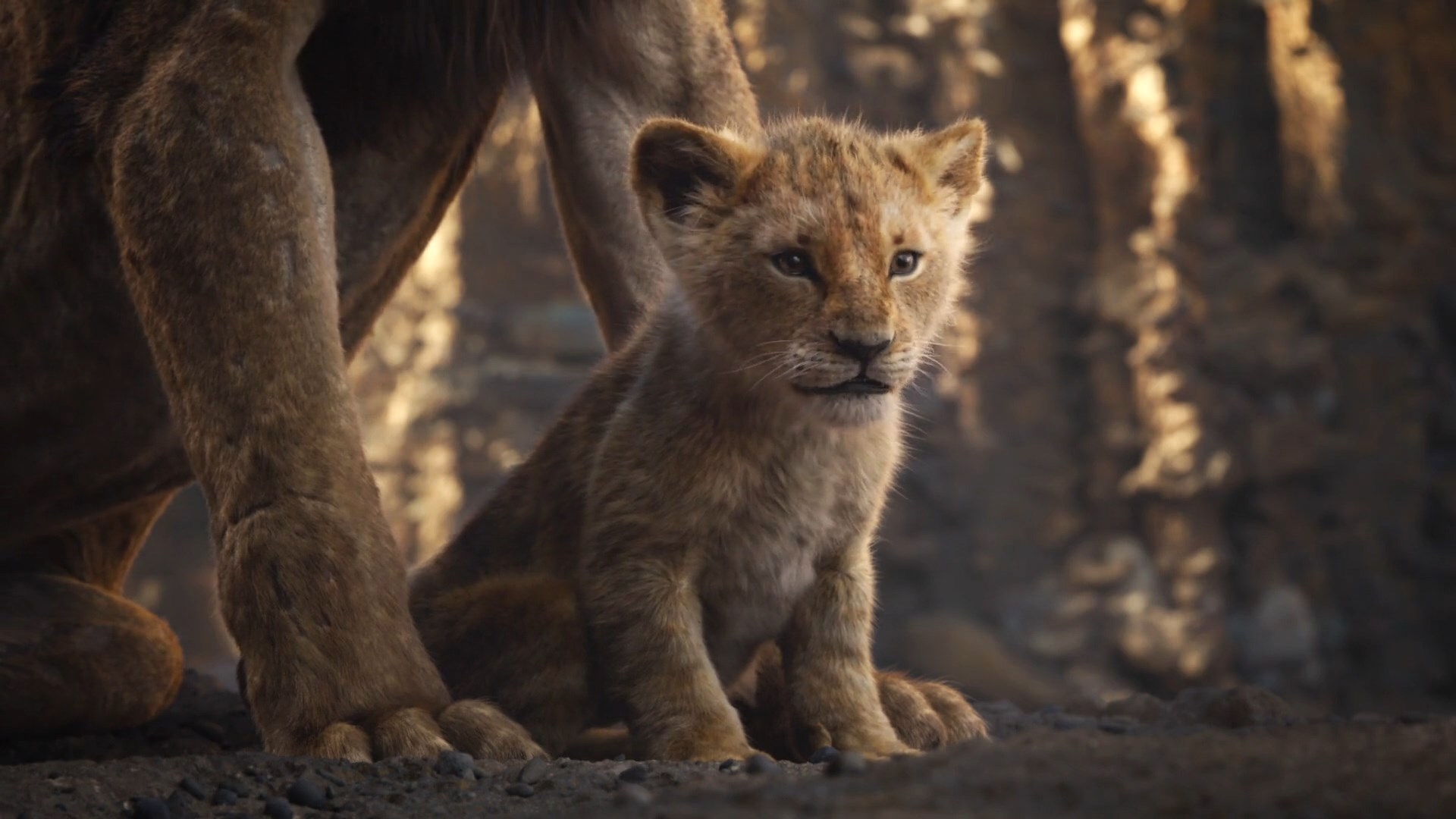TheLionKing2019-Simba 1 by GiuseppeDiRosso on DeviantArt