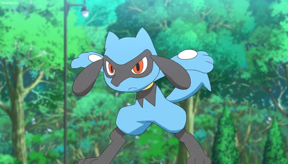 Pokemon Riolu Blind Pokemon Journeys E30-Riolu by GiuseppeDiRosso on DeviantArt