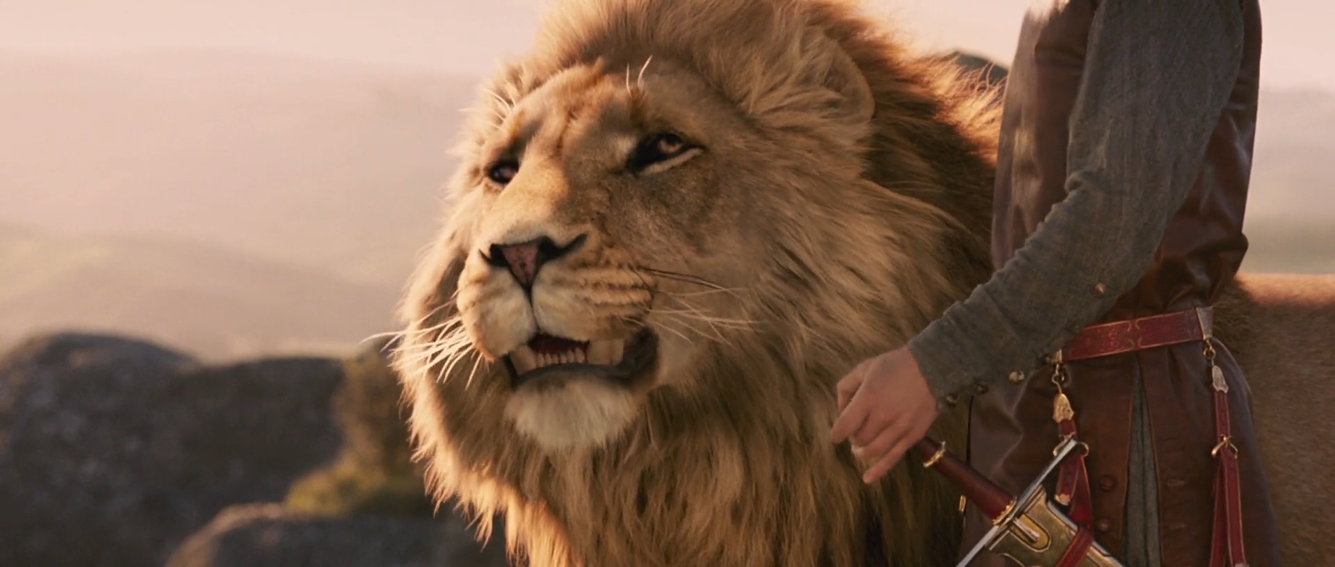 Lion Aslan - Narnia by BraScIBr on DeviantArt