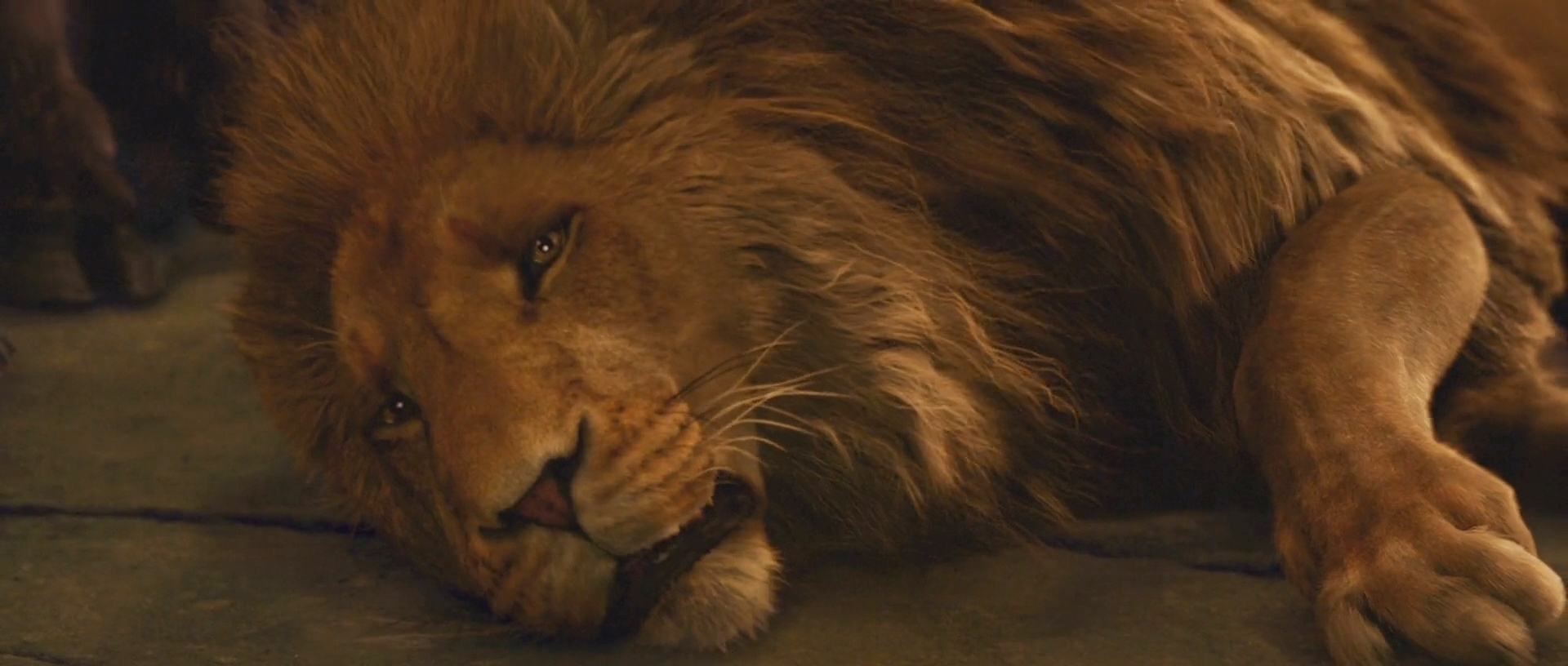 The Chronicles of Narnia: The Lion, The Witch, and the Wardrobe. Aslan