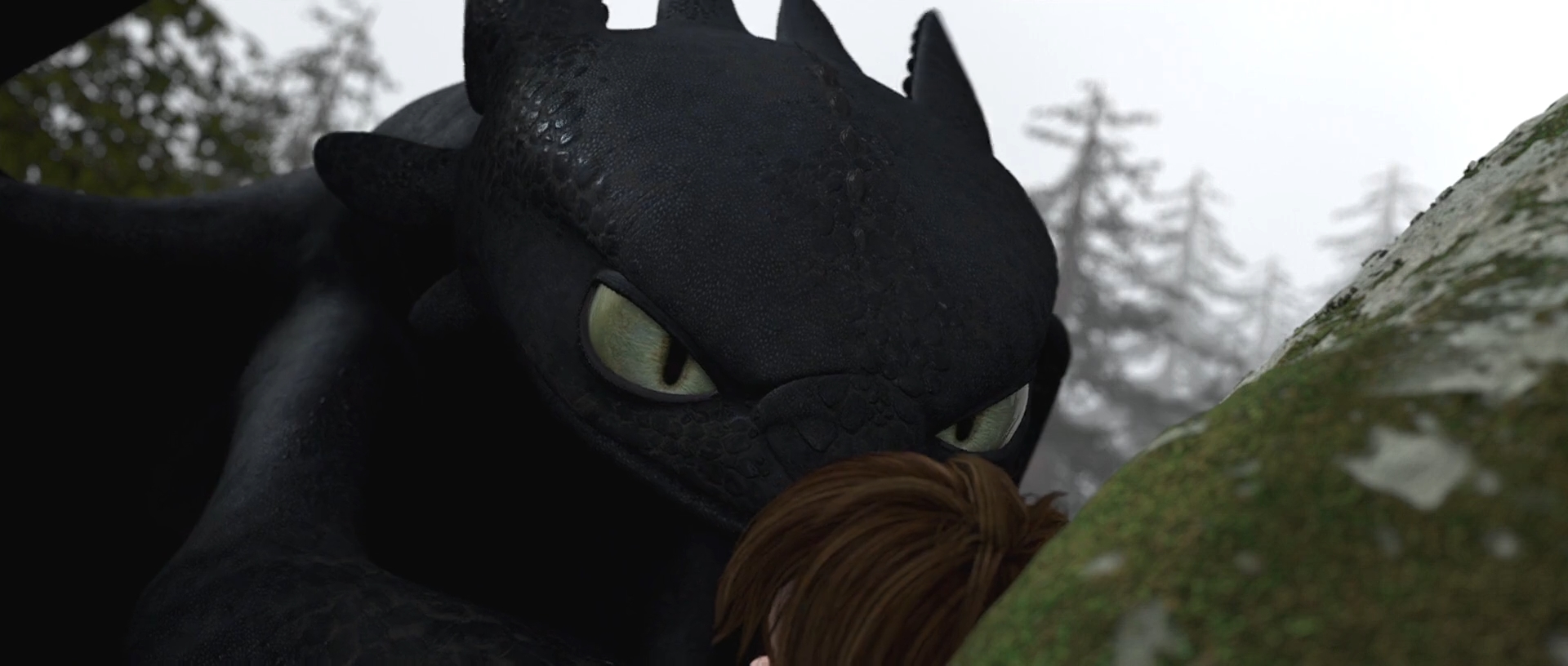 Train Your Dragon 1-Toothless 6 by GiuseppeDiRosso on DeviantArt