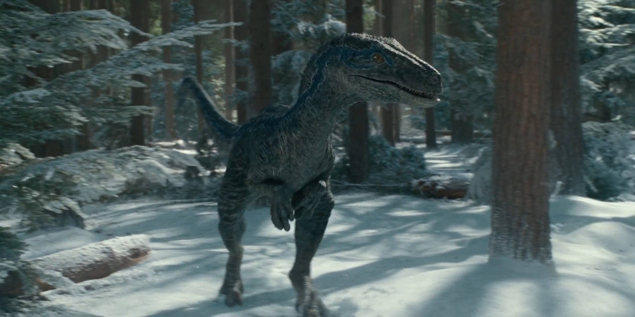 Jurassic World Dominion-Blue 4 by GiuseppeDiRosso on DeviantArt