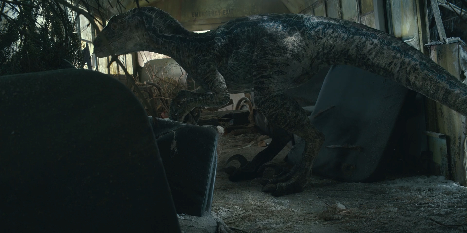 Jurassic World Dominion-Blue 6 by GiuseppeDiRosso on DeviantArt