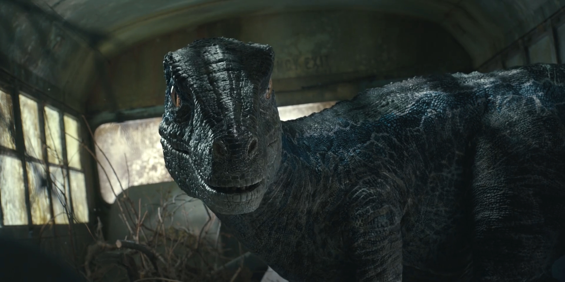 Jurassic World Dominion-Blue 7 by GiuseppeDiRosso on DeviantArt