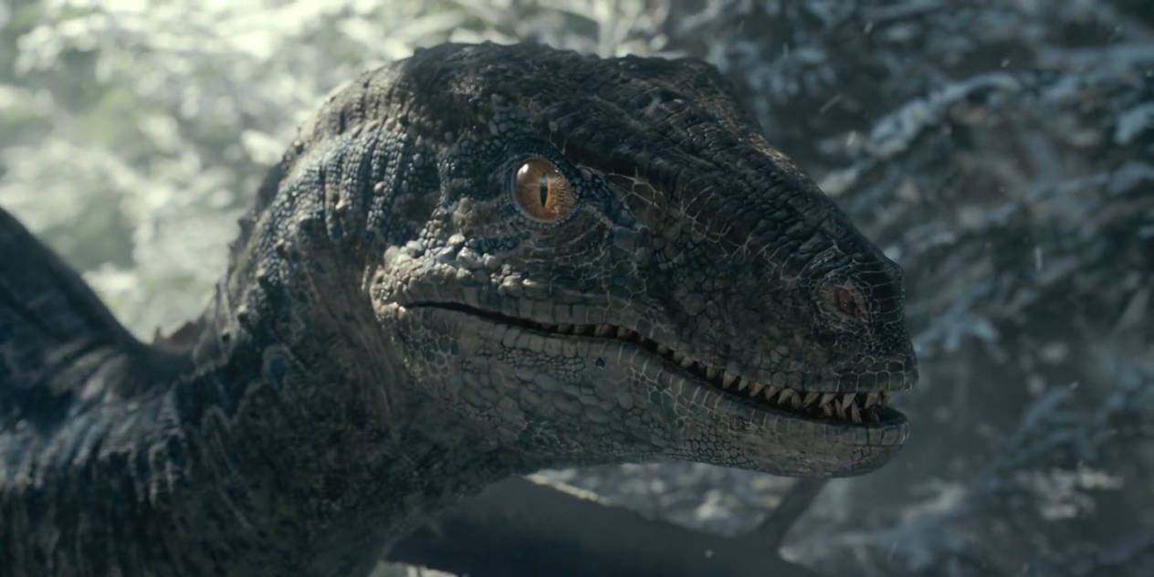 Jurassic World Dominion-Blue 8 by GiuseppeDiRosso on DeviantArt