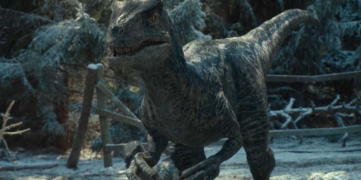 Jurassic World Dominion-Blue 9 by GiuseppeDiRosso on DeviantArt