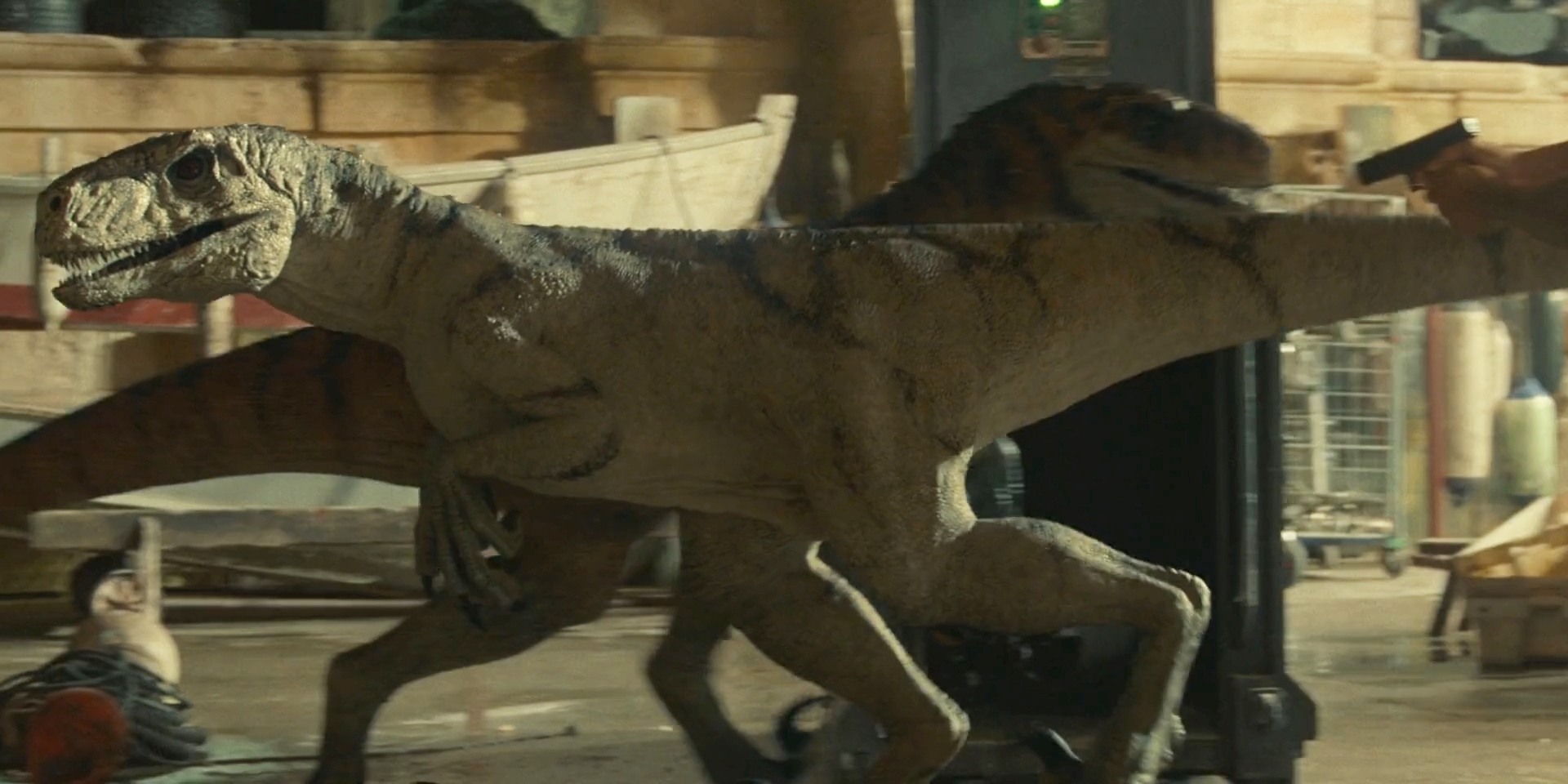 Jurassic World Dominion-Atrociraptor 2 by GiuseppeDiRosso on DeviantArt