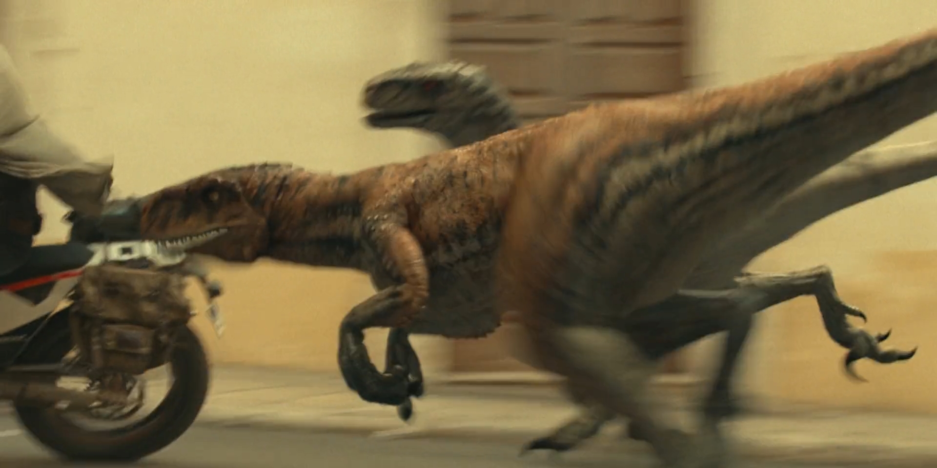 Jurassic World Dominion Atrociraptor 10 By GiuseppeDiRosso On DeviantArt jurassic-world-dominion-atrociraptor-10-by-giuseppedirosso-on-deviantart
