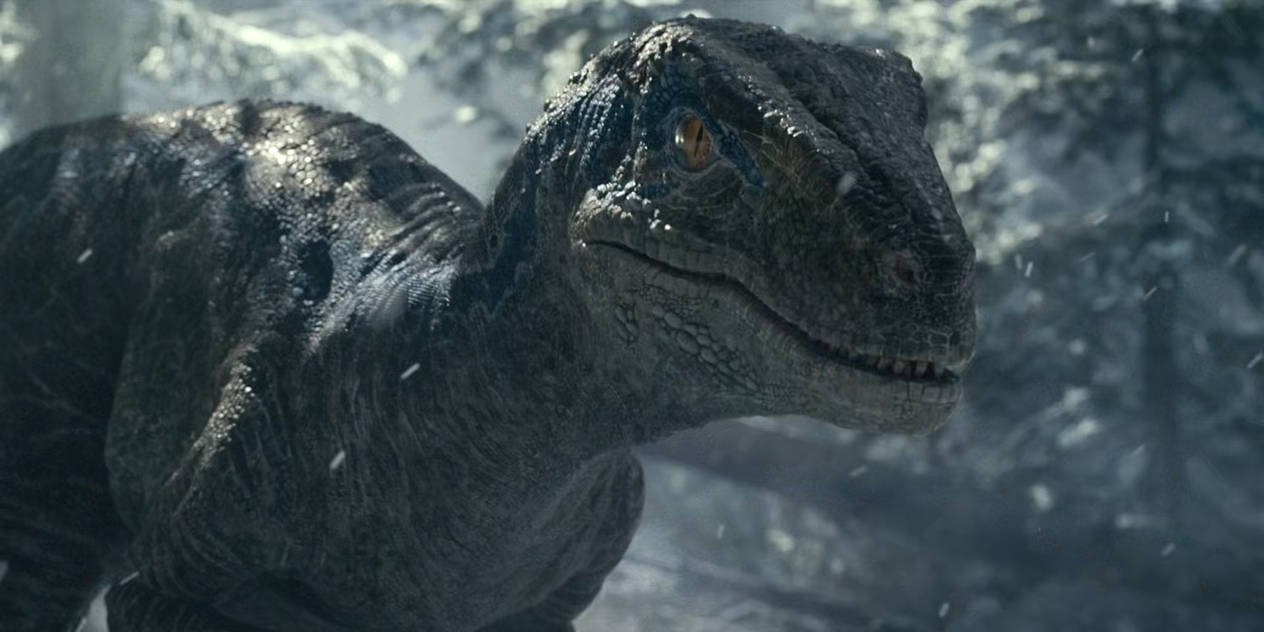 Jurassic World Dominion-Blue 13 by GiuseppeDiRosso on DeviantArt