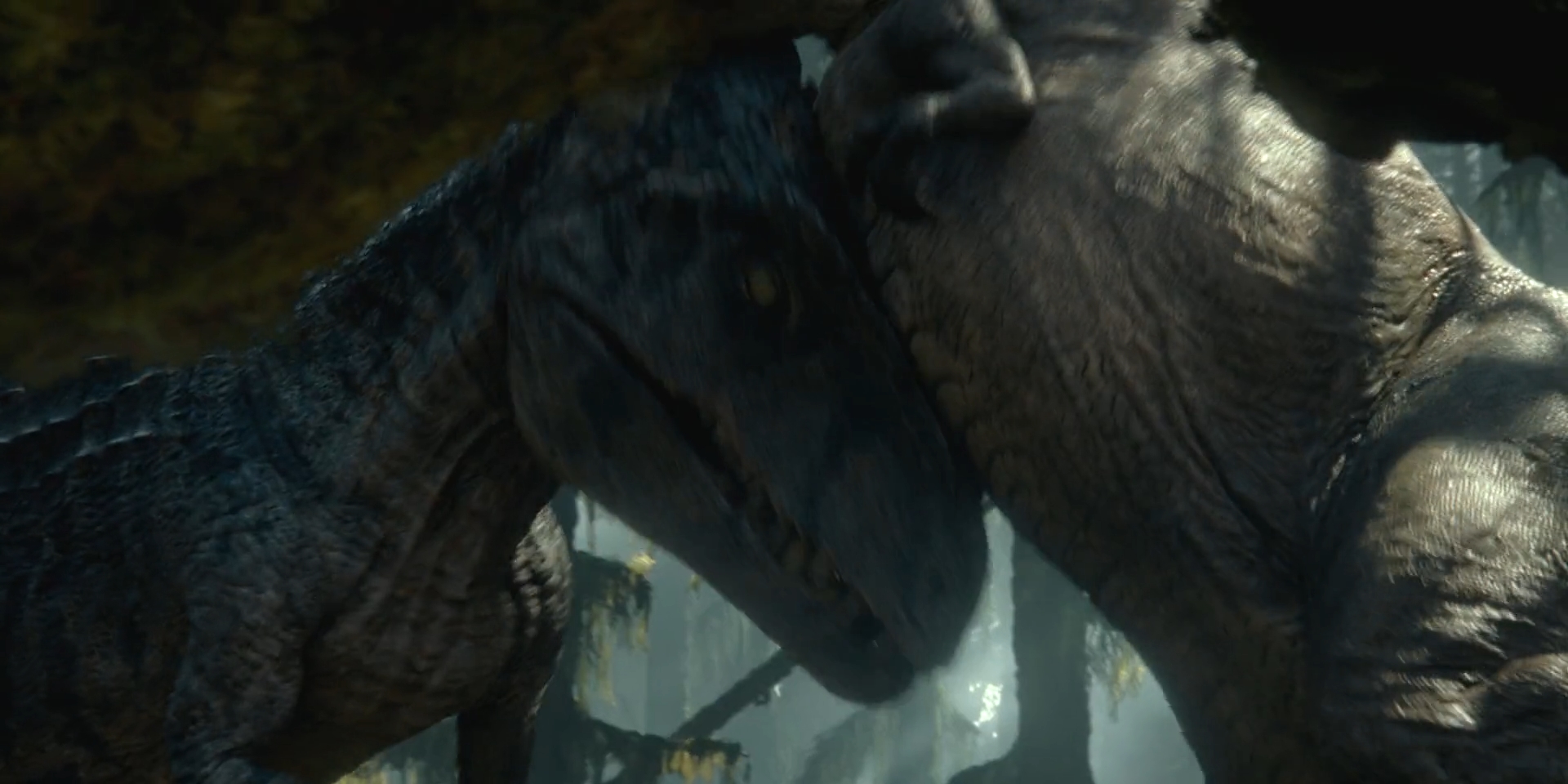 Le Condizioni Meteo Tutto L'anno Ovunque Sulla Terra - Foto 8