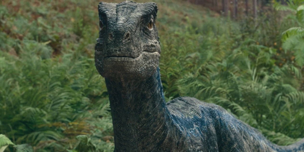 Jurassic World Dominion-Blue 14 by GiuseppeDiRosso on DeviantArt