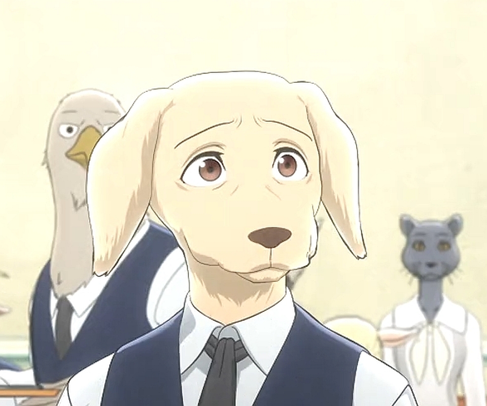 Beastars S1 E2-Jack 1 by GiuseppeDiRosso on DeviantArt