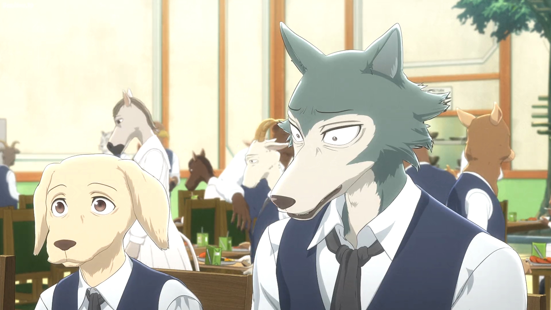 Beastars S1 E2-Jack Legosi 1 by GiuseppeDiRosso on DeviantArt