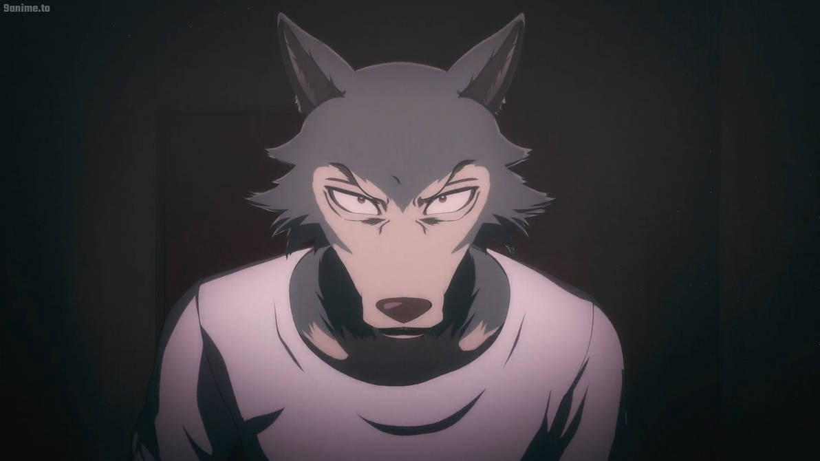 Beastars S1 E4-Legosi 9 by GiuseppeDiRosso on DeviantArt