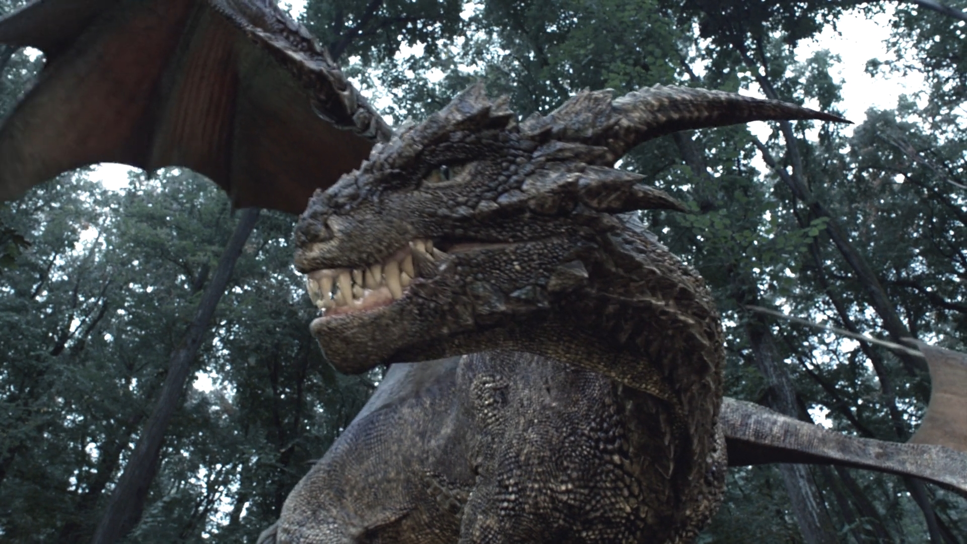 Dragonheart 3Drago 3 by GiuseppeDiRosso on DeviantArt
