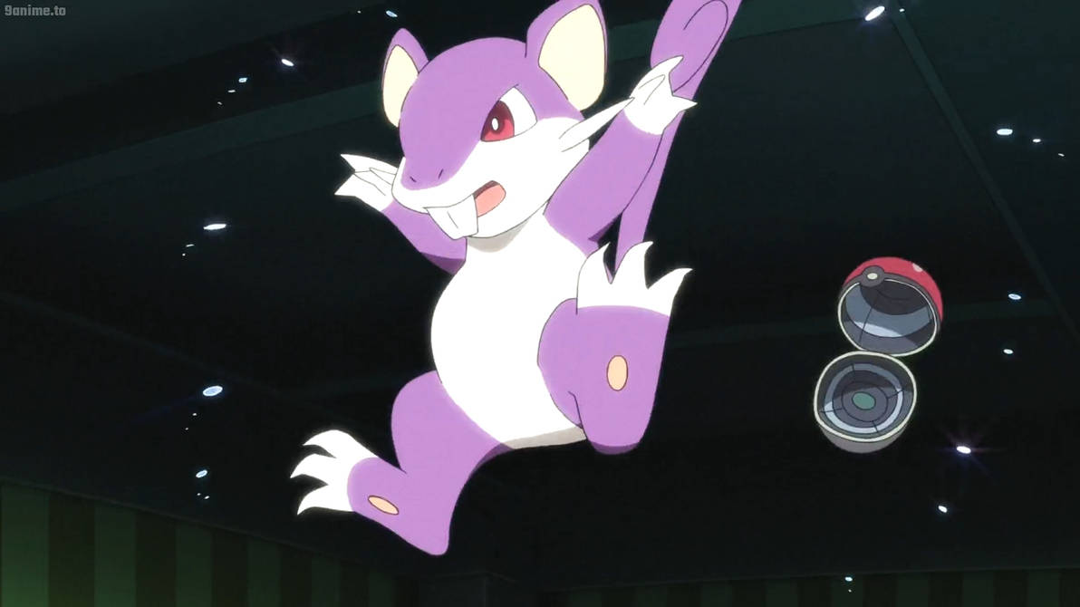 Pokemon Origins E1-Rattata by GiuseppeDiRosso on DeviantArt