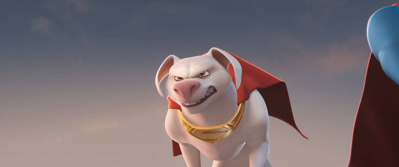 DC League of Super Pets-Krypto 14 by GiuseppeDiRosso on DeviantArt