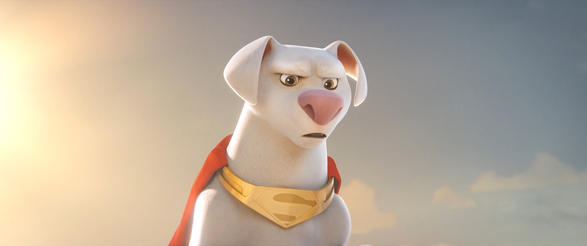 DC League of Super Pets-Krypto 35 by GiuseppeDiRosso on DeviantArt