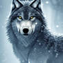 gray wolf, winter