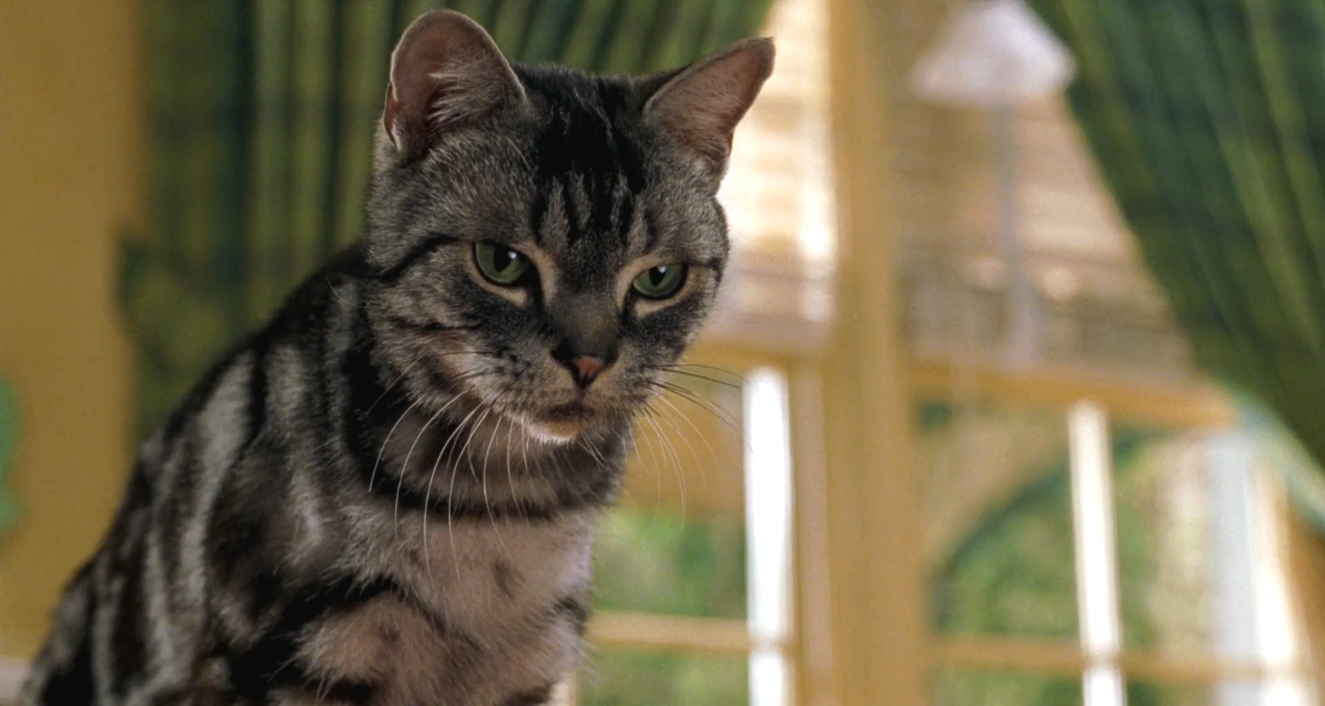 Stuart Little-Monty 3 by GiuseppeDiRosso on DeviantArt