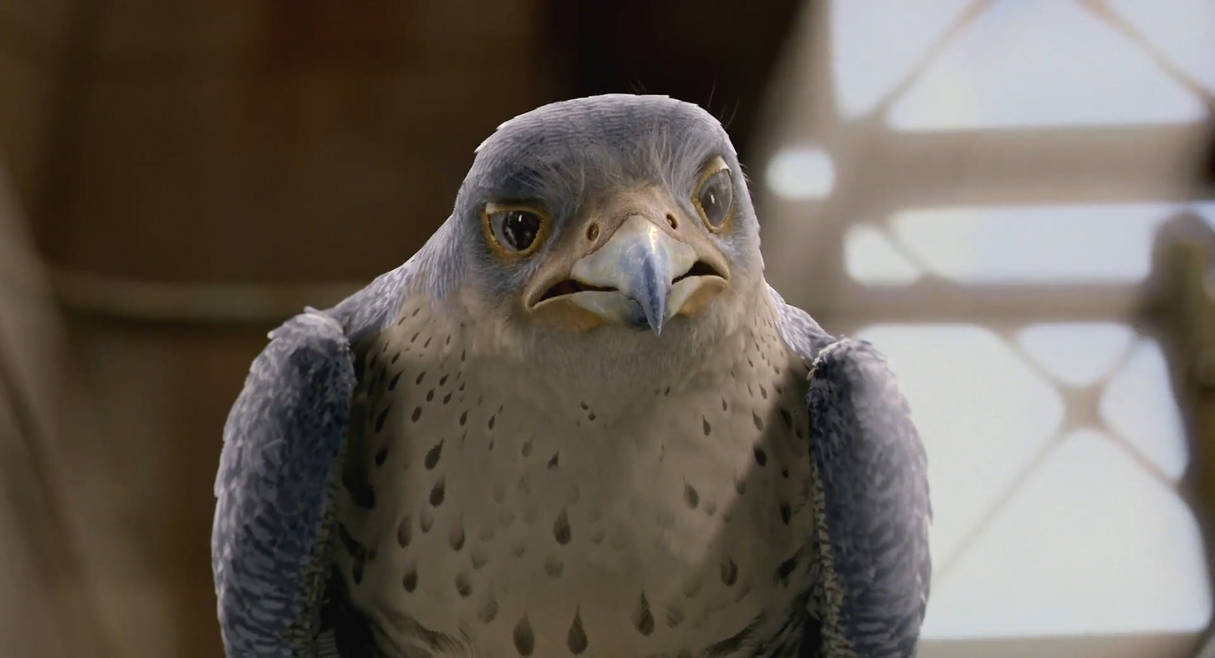 Stuart Little 2 Falcon 7 By GiuseppeDiRosso On DeviantArt stuart-little-2-falcon-7-by-giuseppedirosso-on-deviantart