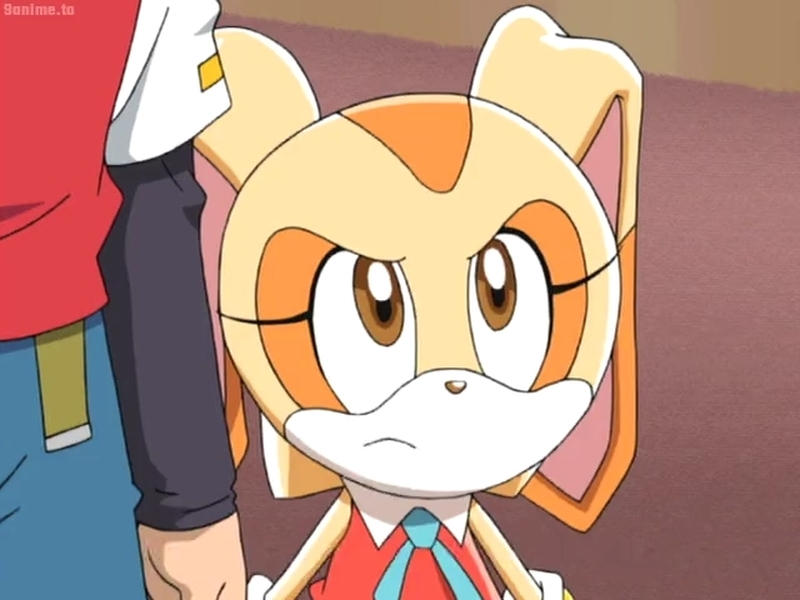 Cream Rabbit Angry Sonic X E10-Cream 1 by GiuseppeDiRosso on DeviantArt
