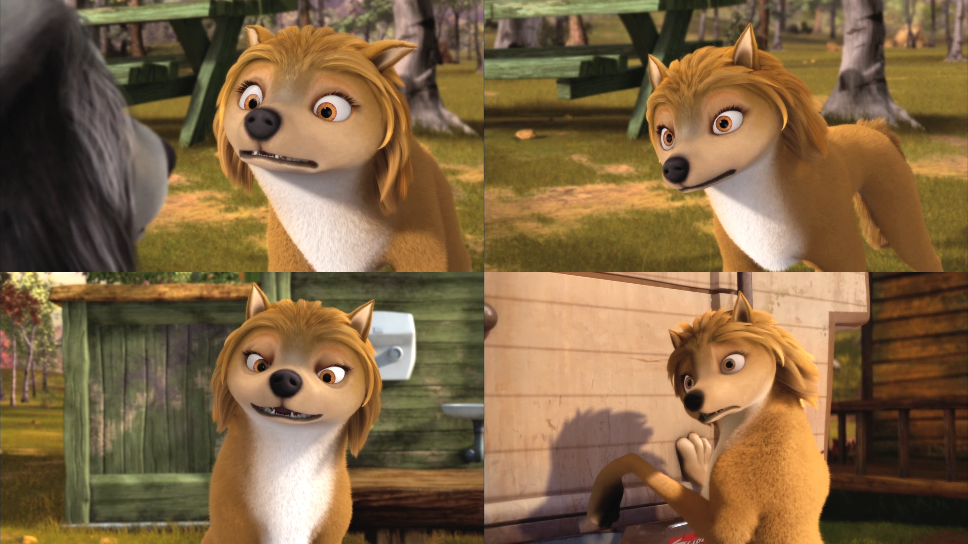 Kate jinsiy alfa va omega Kate jinsiy alfa va omega