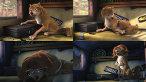 Alpha and Omega 2010-Kate Montage 2