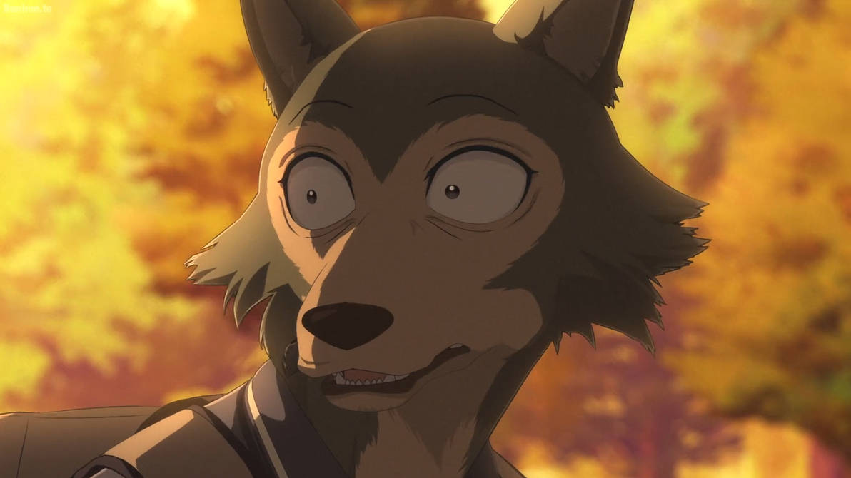 Beastars S1 E5-Legosi 9 by GiuseppeDiRosso on DeviantArt