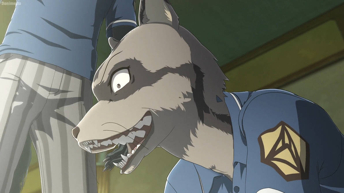 Beastars S1 E6-Raccoon by GiuseppeDiRosso on DeviantArt