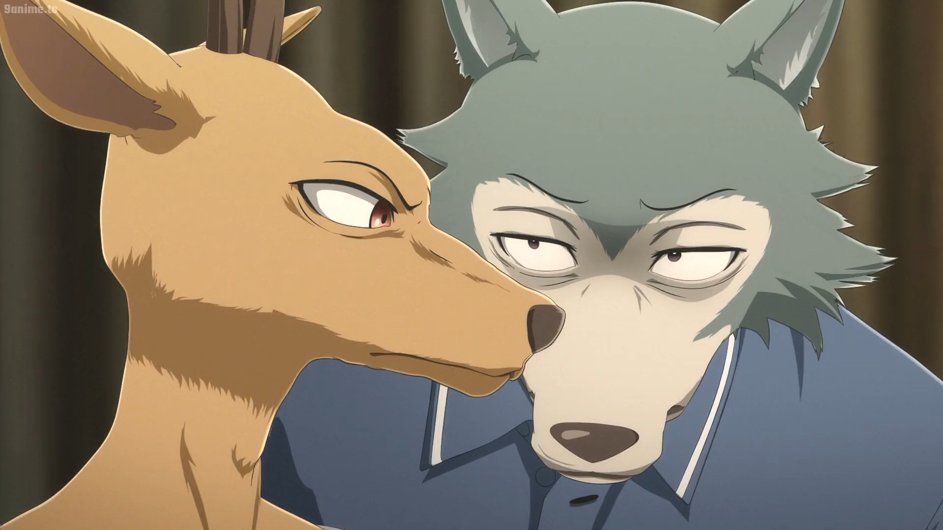 Beastars Deviantart Beastars S1 E8-Legosi Louis 1 by GiuseppeDiRosso on DeviantArt