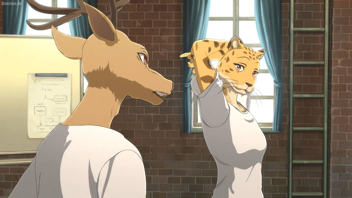 Rusty Beastars Beastars S1 E8-Louis Sheila by GiuseppeDiRosso on DeviantArt
