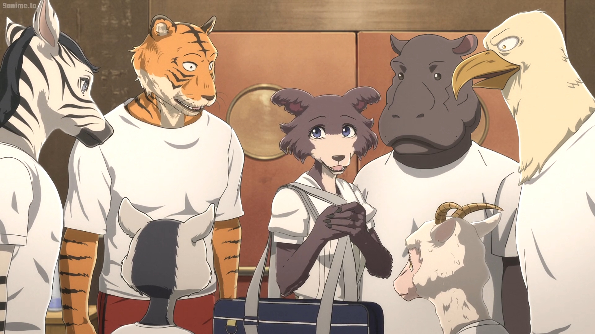 Beastars S1 E8-Juno 1 by GiuseppeDiRosso on DeviantArt