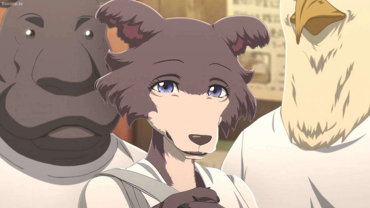 Beastars S1 E8-Juno 2 by GiuseppeDiRosso on DeviantArt