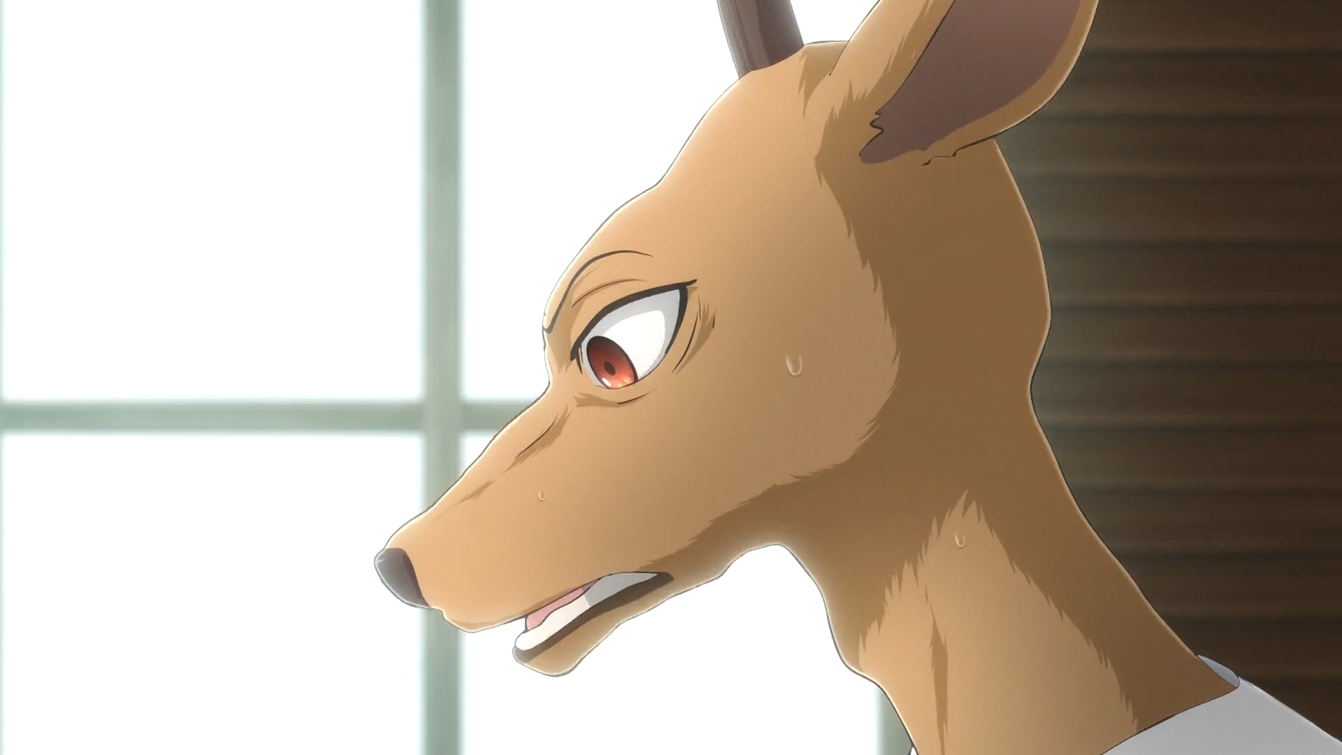 Beastars Deviantart Beastars S1 E9-Louis 1 by GiuseppeDiRosso on DeviantArt