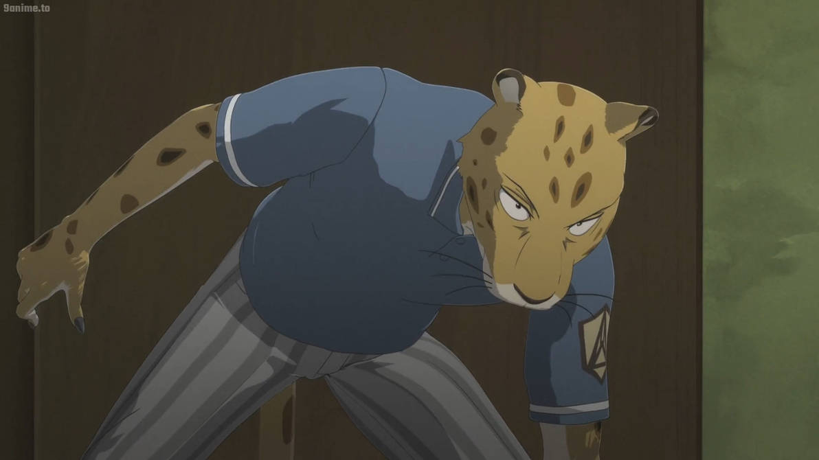 Beastars S1 E9-Jaguar by GiuseppeDiRosso on DeviantArt